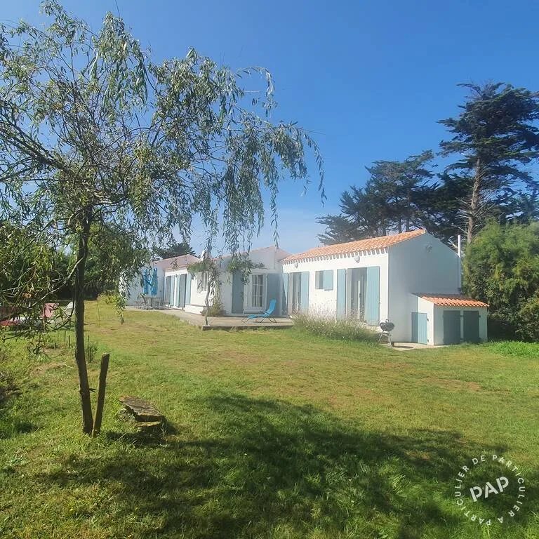 La maison vue du fond du jardin, avec un saule et des pins